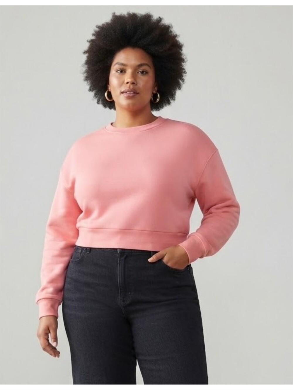 Wild Fable crop sweatshirt Light Pink Size XXL